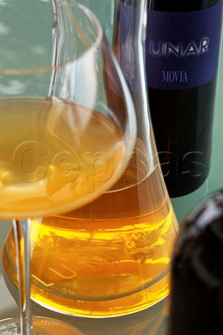 Bottle glass and decanter of Movia Lunar Medana near Dobrovo Slovenia  Brda