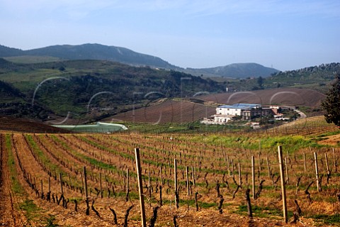 Baglio di Pianetto winery and vineyards Santa Cristina Gela Sicily Italy