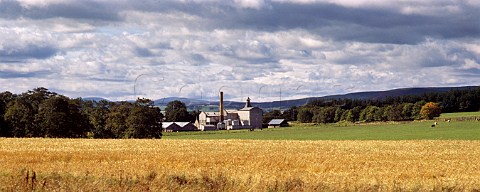 Knockdhu distillery and barley field Banffshire Scotland