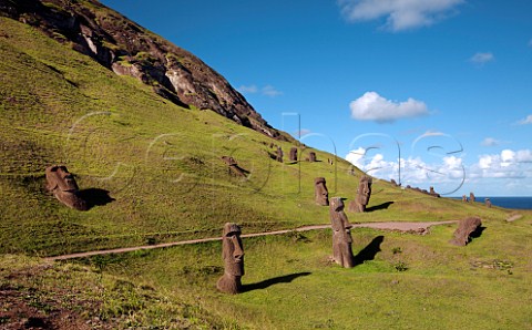 Moais on the slopes of Rano Raraku Easter Island