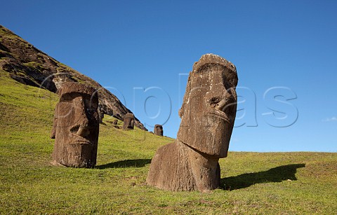 Moais on Rano Raraku hill Easter Island