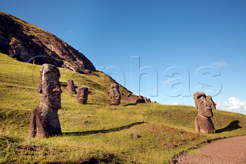 Moais on hillside at Rano Raraku Easter Island