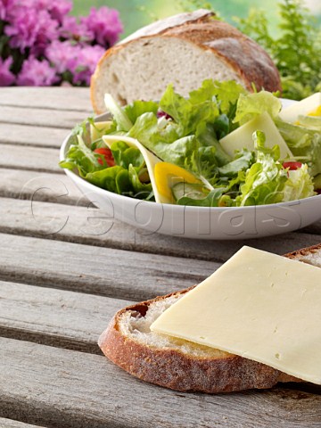 Cheddar cheese slice on bread with a bowl of salad