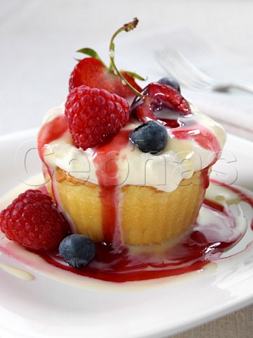 Spanish traditional sponge cake with evaporated and condensed milk topped with whipped cream and fruit