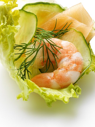 A prawn with lettuce cucmber slices and dill