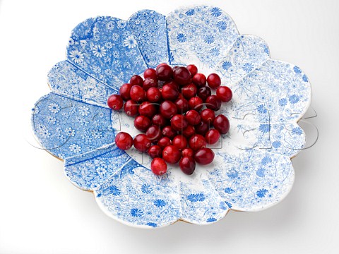 Ripe cranberries on an antique plate