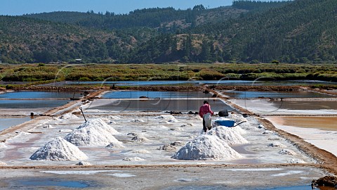 Worker collecting sea salt in salt pans at Cahuil Colchagua Chile