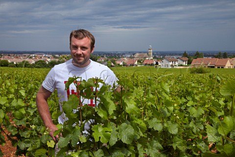 Cyril Audoin in Pinot Noir vines in his Clos de Jeu vineyard Domaine Charles Audoin MarsannaylaCte CtedOr France  Marsannay