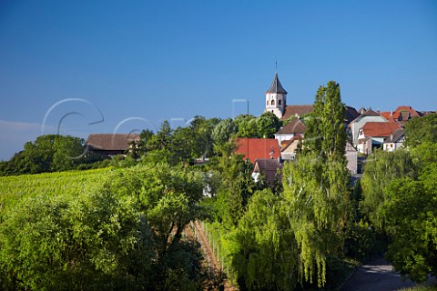 Wine village of Zellenberg HautRhin France   Alsace