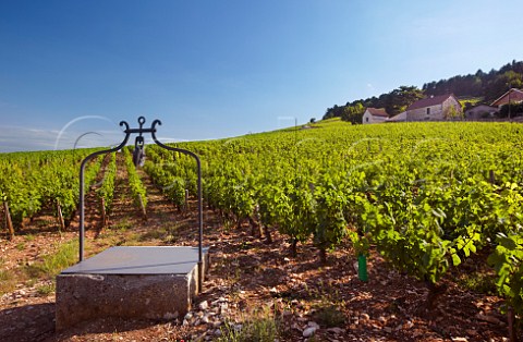 Well in Clos des Lambrays vineyard MoreyStDenis CtedOr France  Cte de Nuits Grand Cru