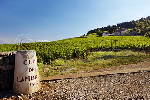 Clos des Lambrays vineyard MoreyStDenis CtedOr France Cte de Nuits Grand Cru