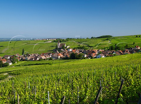 View over the Rosacker vineyard to the village of Hunawihr HautRhin France  Alsace Grand Cru