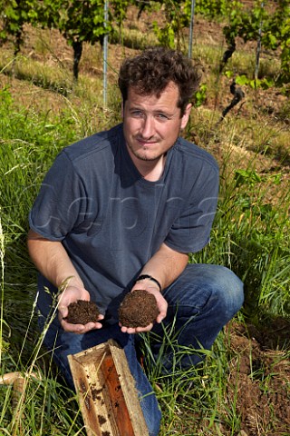 Monty Waldin biodynamic consultant digging up a stags bladder filled with yarrow flowers which has been buried over the winter the bladder decomposes and the flowers are then used to make 502 biodynamic compost preparation  Germpel vineyard of Dr Brklin Wolf Wachenheim an der Weinstrasse Pfalz Germany