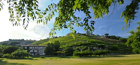 Coteau du Vernon vineyard of Domaine Georges Vernay Condrieu Rhne France Condrieu