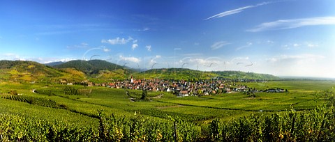 Ammerschwihr and its vineyards with the Vosges mountains beyond  HautRhin France    Alsace