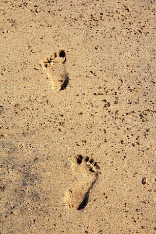 Footprints in the sand on the beach at Amanzimtoti KwaZuluNatal South Africa