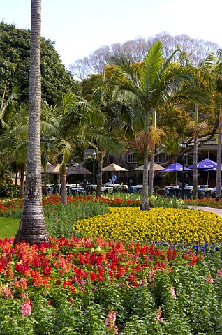 Flowerbeds in Mitchell Park with The Blue Zoo Restaurant in the background Morningside Durban KwaZuluNatal South Africa