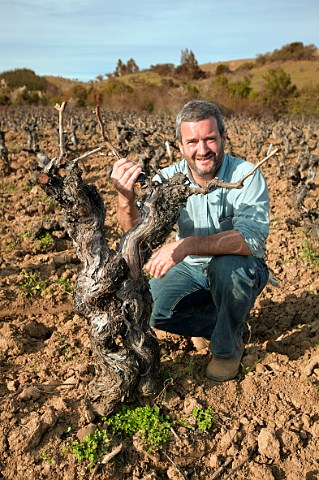 Derek Mossman Knapp of Garage Wine Company in an ancient Carignan vineyard Cauquenes Maule Valley Chile