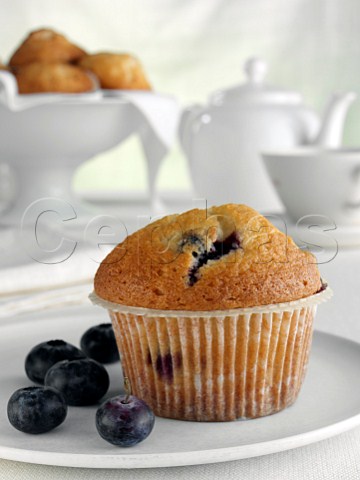 Breakfast blueberry muffin with fruit and tea set