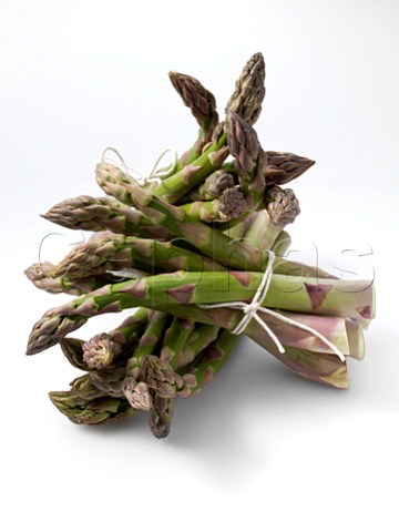 Bunches of fresh asparagus