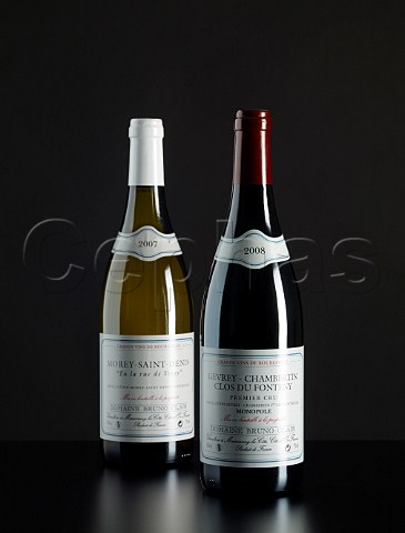 Bottles of 2008 GevreyChambertin Clos du Fonteny and 2007 MoreySaintDenis En la Rue de Vergy from Domaine Bruno Clair