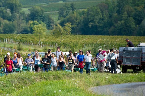 Pickers in vineyard of Chteau Faugres StEtiennedeLisse near Saintmilion Gironde France  Stmilion  Bordeaux