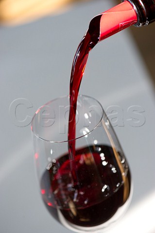 Pouring wine in the Maison du Vin of Saintmilion Gironde France  Stmilion  Bordeaux