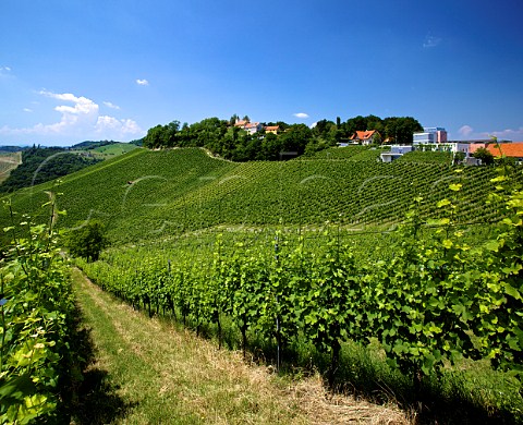 Winery of Manfred Tement above the Zieregg vineyard at Berghausen Steiermark Austria Sdsteiermark