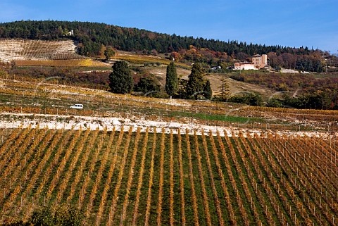 Tenuta Maternigo vineyards of Tedeschi at Mezzane di Sopra Veneto Italy  Valpolicella  Amarone