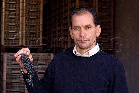 Gian Paolo Speri holding a bunch of Corvina grapes that have been partially dried in his fruttaio drying room Pedemonte Veneto Italy Valpolicella Classico  Amarone