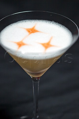 Kappa Pisco Sour in a martini glass