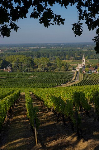 Vineyards above the church at Loupiac Gironde France  Loupiac  Bordeaux
