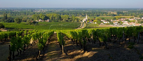 Village and vineyards of Loupiac  Gironde France  Loupiac  Bordeaux