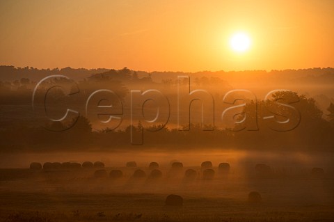 Hay bales in field at sunrise Targon Gironde France   Bordeaux HautBenauge
