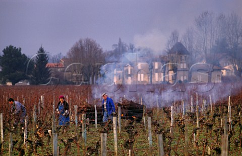 Winter pruning in vineyard of Chteau FrancMayne with Chteau Clos des Jacobins beyond Stmilion Gironde France Saintmilion  Bordeaux
