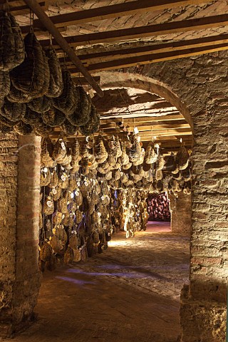 Culatelli di Zibello ageing in cellar of Antica Corte Pallavicina Polesine Parmense EmiliaRomagna Italy