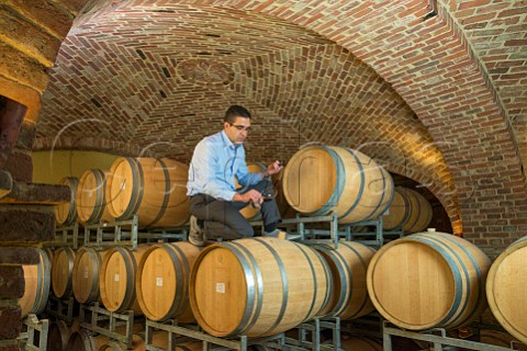 Angelo Negro tasting his Roero from barrel in cellar of Negro Angelo e Figli  Monteu Roero Piemonte Italy