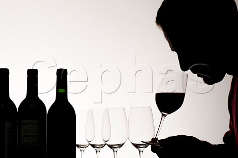 Man tasting Bordeaux wines