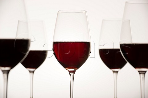 Tasting of Bordeaux wines
