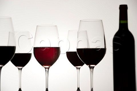 Tasting of Bordeaux wines