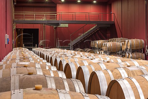 Barrels in cellar of Beni di Batasiolo La Morra Piemonte Italy  Barolo