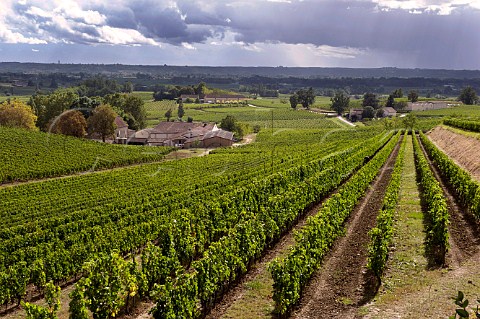 Vineyards at Chteau Mangot SainttiennedeLisse Gironde France Stmilion  Bordeaux