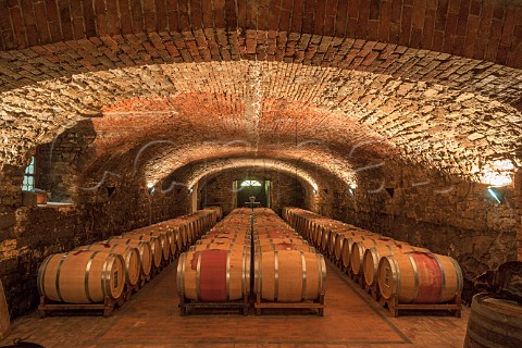 Barrel cellar of Castello di Spessa Capriva del Friuli Italy   Collio