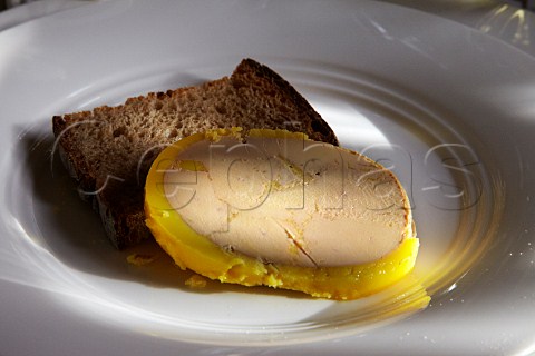 Slice of foie gras with pain dpices  France