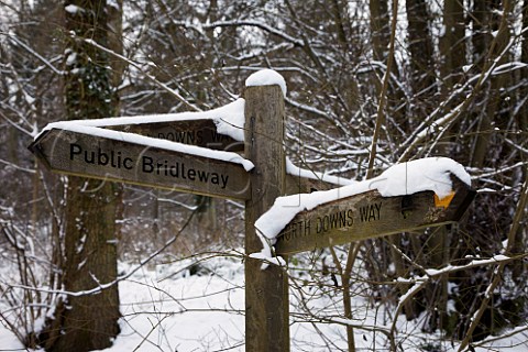 Signpost on the North Downs Way in Ashcombe Wood above Denbies Estate  Dorking Surrey England