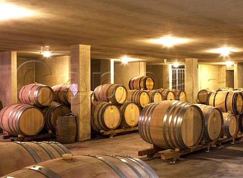 Barrel cellar of Caiarossa Riparbella Tuscany Italy