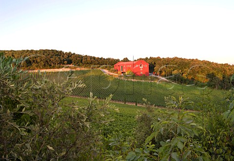 Caiarossa winery and vineyard Riparbella Tuscany Italy