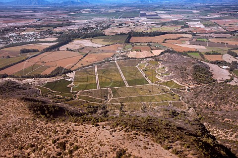 El Olivar vineyards of Viu Manent in the Colchagua Valley Chile