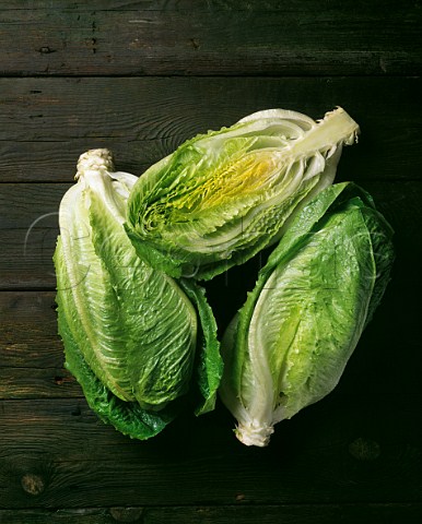 Cos lettuces