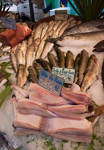 Fish for sale on a market stall skate trout whiting tuna grey mullet Paris France